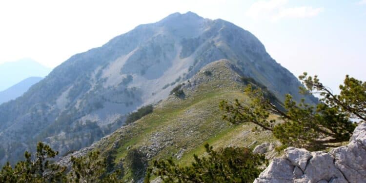 Mbeti i bllokuar në malin e Çikës, shpëtohet turisti polak pas ndërhyrjes nga ajri